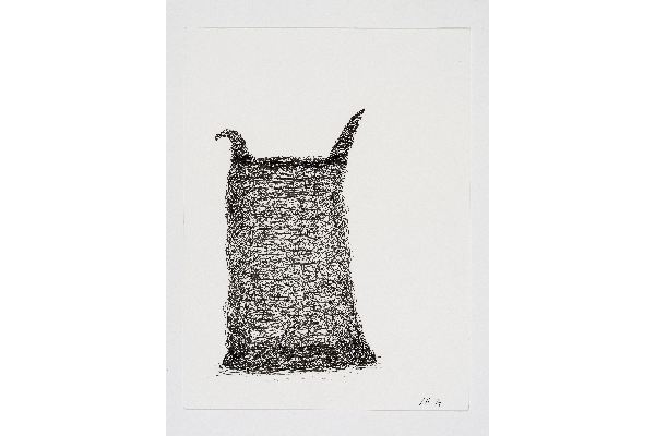 Drawn into Life XIV, encre sur papier Canson Bristol, 9x12p.